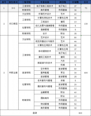 南京城市职业学院招标（南京城市职业学院2021招生简章）-图3