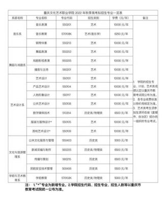 重庆艺术文化职业学院招生（重庆文化艺术职业学院招生章程）-图3