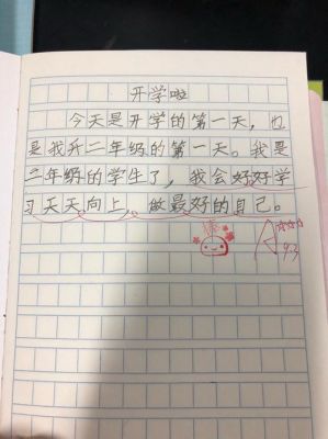 小学生优秀日记范文（小学生日记小学生优秀日记大全）-图2