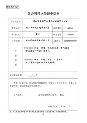 公司申请表范文（公司申请书范文简写）-图3