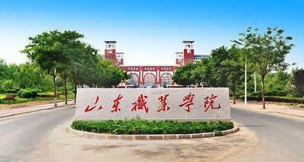 山东职业学院有烹饪（2021山东职业学院食堂招标）-图3