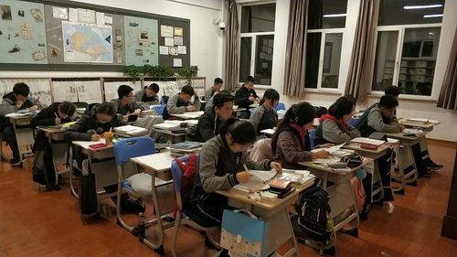 沈阳外国语学校中加班（沈阳外国语学校中加班学费高三）-图2