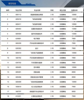 职业学院排名多少钱（职业学院排名多少钱一个学生）-图2