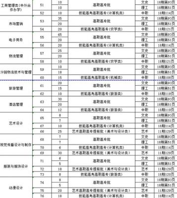 武汉商贸职业学院专（武汉商贸职业学院专业有哪些）-图2