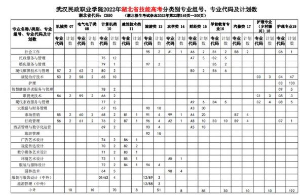 武汉民政职业学院专业排名（武汉民政职业技术学院王牌专业）-图1