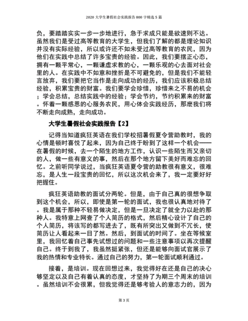 大学暑期实践报告范文（大学暑期实践报告范文800字）-图3