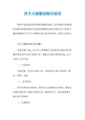 个人销售月计划书范文（销售个人月工作计划怎么写）-图2