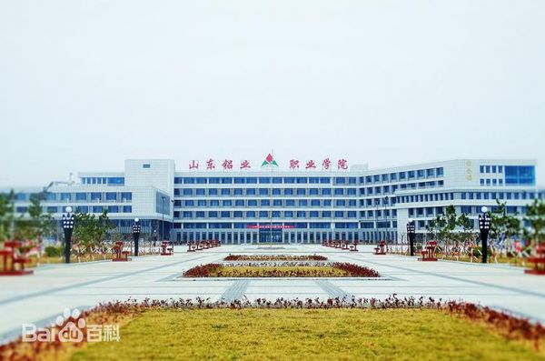 山东吕业职业学院什么地方（山东铝业职业学院是职高吗）-图3