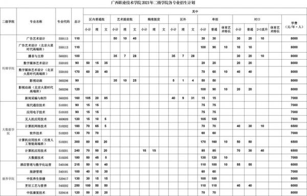 广西职业学院小儿统筹（广西职业技术学院收费标准）-图2