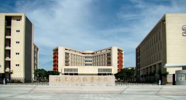 福建艺术职业学院民办（福建艺术职业学院公立还是私立）