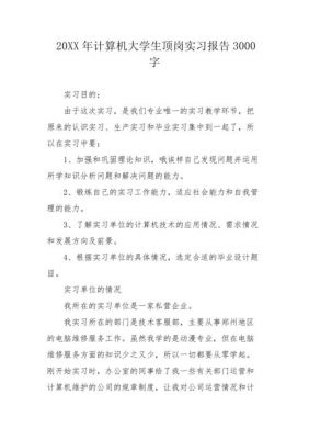 顶岗实习报告范文（顶岗实习报告3000字）