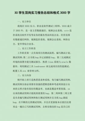 顶岗实习报告范文（顶岗实习报告3000字）-图3