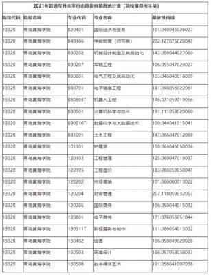 青岛可以专升本的学校（青岛可以专升本的大学）-图2