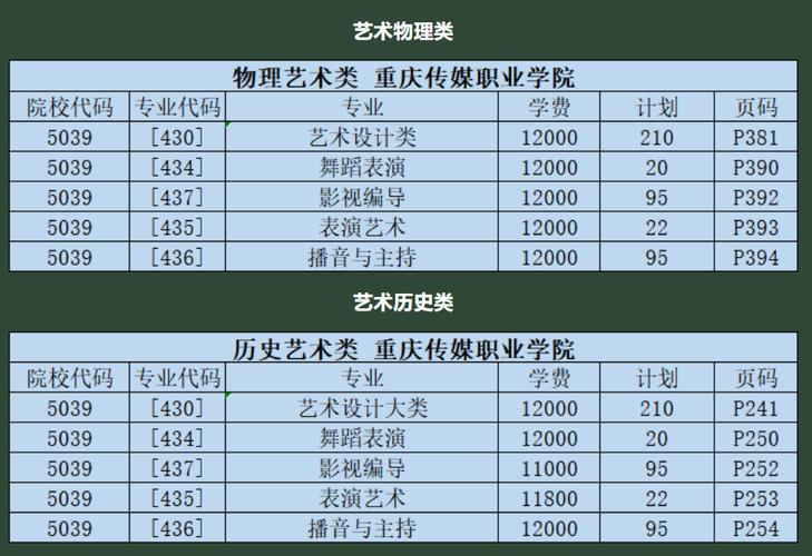 重庆文化传媒职业学院专业（重庆文化传媒职业学院专业有哪些）-图2