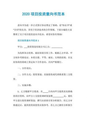 项目投资书范文（项目投资书范文怎么写）-图1