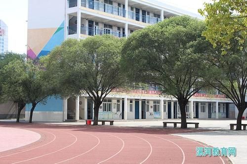 漯河市私立学校（漯河私立学校有哪些初中）-图3