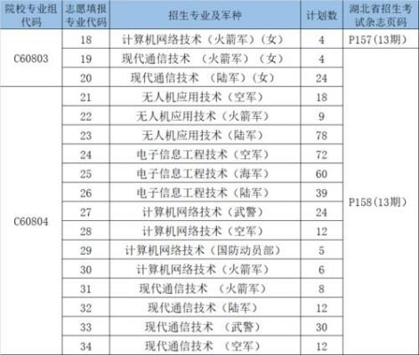 武昌职业学院有单招吗（武昌职业学院有单招吗）-图2