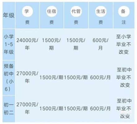 东辰国际学校初中学费（东辰国际学校初中一年学费）-图3