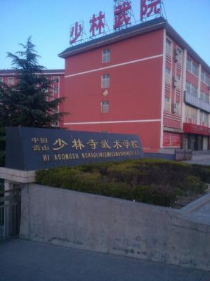 嵩山武术职业学院官网（嵩山武术职业学院是大学吗）-图3