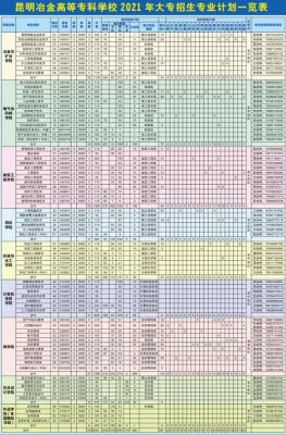 云南冶金专科学校费用（云南冶金专科学校学费）