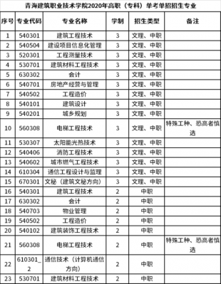 职业学院建筑考试总结（职业学校建筑专业知识）