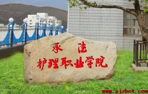 河北高护学校（河北高级护理学校）-图1