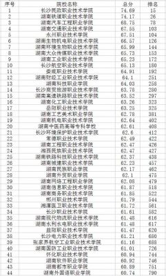 湖南好一点的专科学校（湖南好一点的专科学校排名）-图3