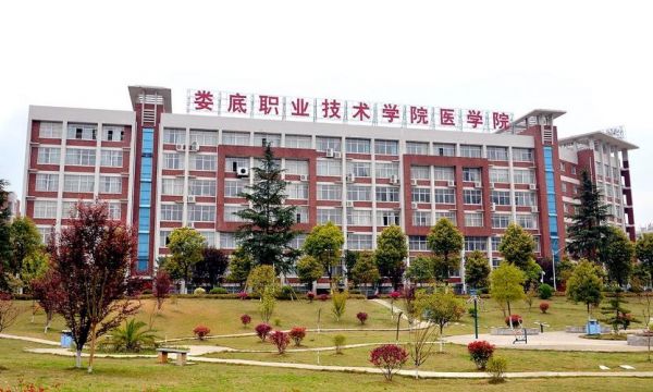 娄底信息职业学院（娄底信息职业学院是大专吗）-图2