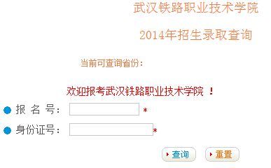 武汉职业学院录取查询（武汉职业技术学院录取查询入口）-图1