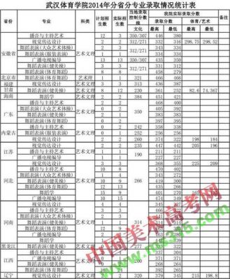 武汉职业学院专业（武汉职业学院专业艺术类）-图2