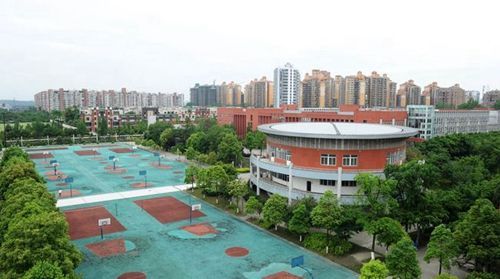 成都城市职业学院迎新网（成都城市职业学院怎么样贴吧）-图1