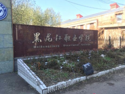 黑龙江职业学院强制（黑龙江职业学院关于网传视频）-图3