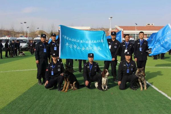 甘肃警察职业学院训链（甘肃警察职业学院警犬）-图2