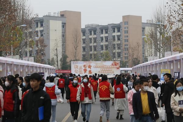 重庆商务职业学院双选会（重庆商务职业学院人才引进）-图1