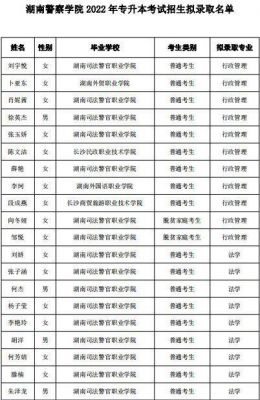 潇湘职业学院录取名单（潇湘职业学院专升本录取名单）-图3