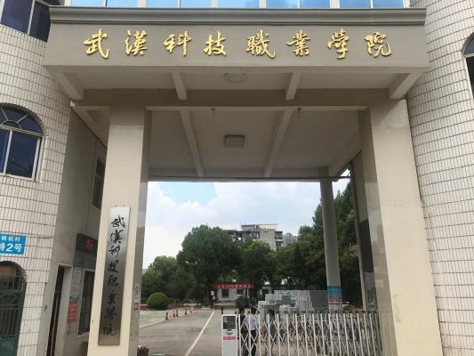 湖北科技职业学校（湖北科技职业学院是大专吗）-图2