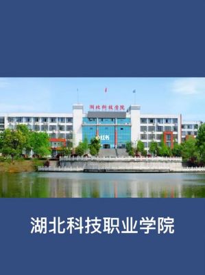 湖北科技职业学校（湖北科技职业学院是大专吗）-图3