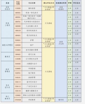 吴忠职业学院报名（吴忠职业技术学院招生简章）-图3