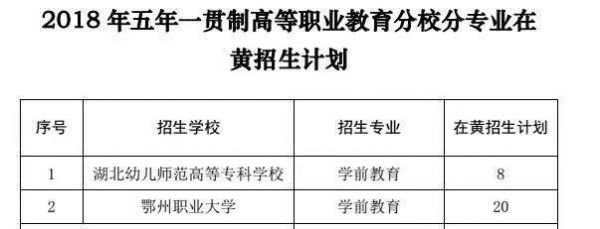 黄石市有哪些职业学院（黄石市有哪些职业学院招生）-图3