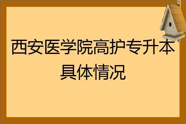 西安高护学校排名（西安高护专科学校有哪些）-图3