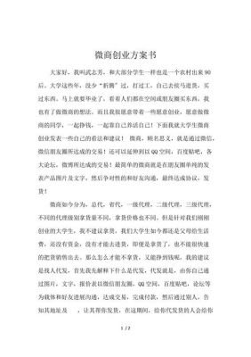 微商计划书范文（微商计划怎么写）-图1