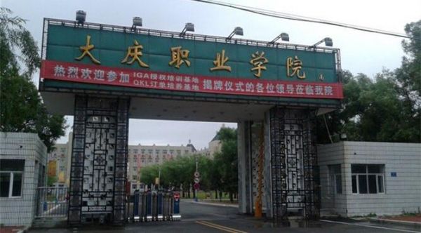 大庆职业学院艺术（大庆职业学院艺术专业在哪个校区）-图3