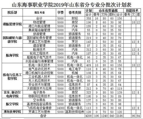 山东海事职业学院专业代码（山东海事职业学院代码高铁专业代码）-图2