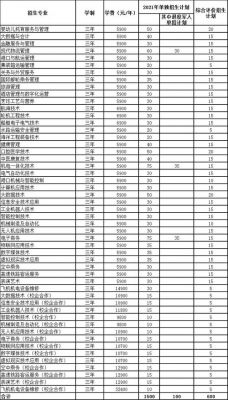 山东海事职业学院专业代码（山东海事职业学院代码高铁专业代码）