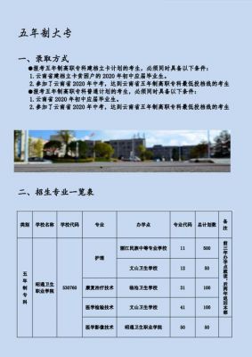 昭通卫生职业学院招生（昭通卫生职业学院招生代码查询）-图2