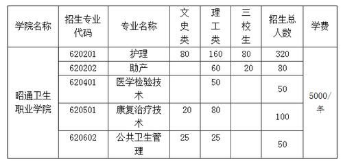 昭通卫生职业学院招生（昭通卫生职业学院招生代码查询）-图3