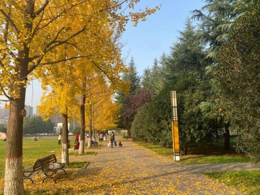 陕西师范大学校园图片（陕西师范大学 校园风景）