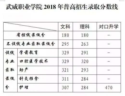 武威职业学院2018总分（武威职业学院录取名单）