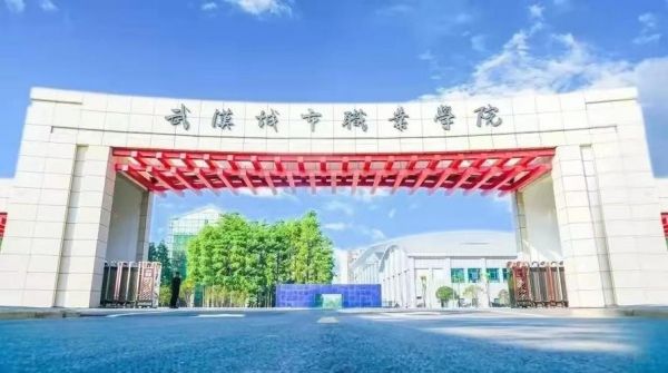 武汉城市职业学院邮件（武汉城市职业学院邮件号码）-图2