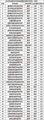 云南省专科学校文科（云南较好的专科学校 文科）